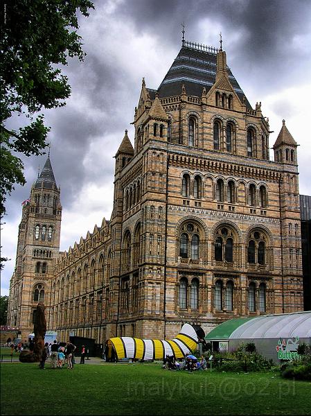 museum.jpg - National History Museum