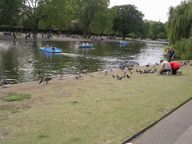 P7263138.JPG - Regent's Park Boating Lake