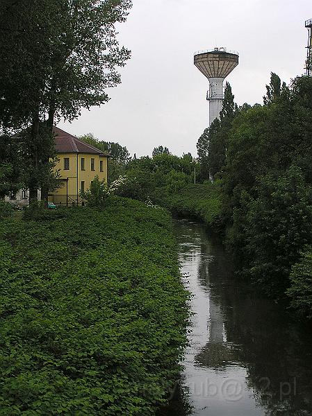 P5319799.JPG - Sosnowiec - Huta Buczek